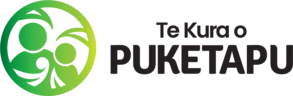 Puketapu School